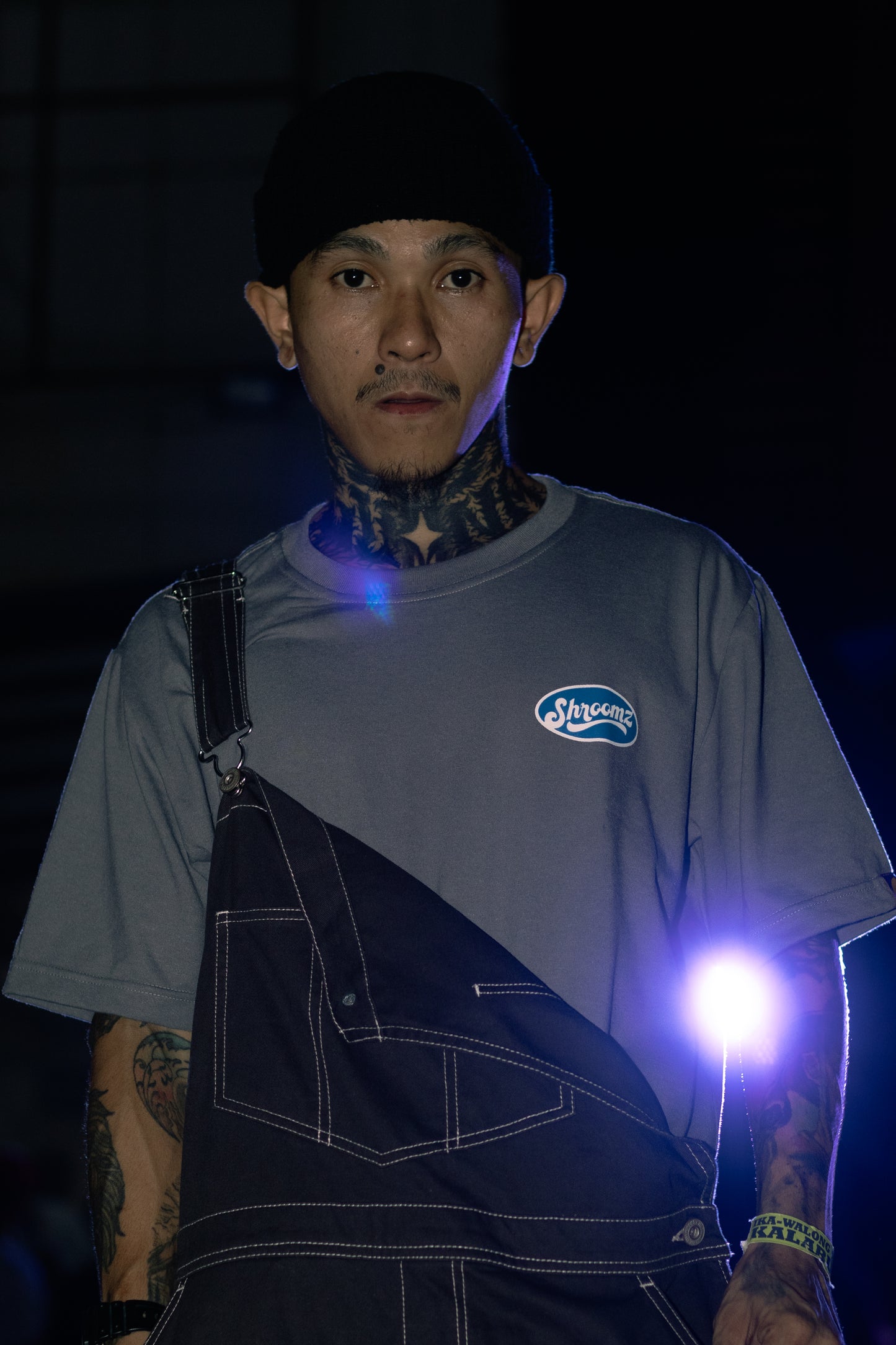 Shroomz Elipse Logo (Gray)